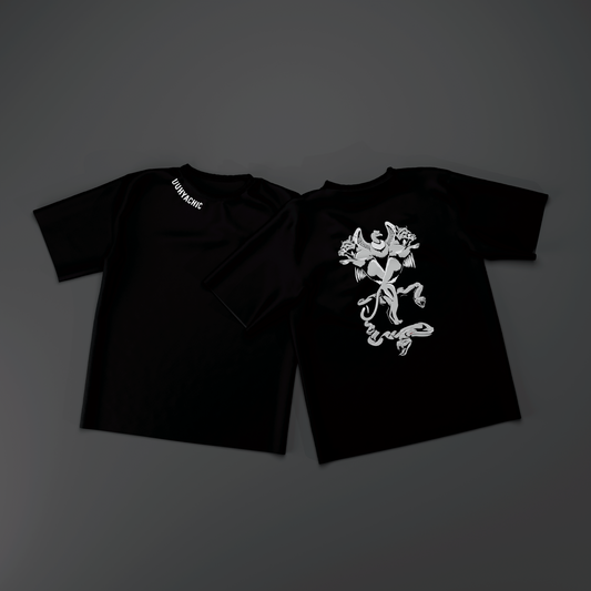 Camiseta Veloz